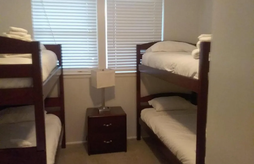 Halcyon Hangout-Mins To Downtown-Ping Pong-Pets-1