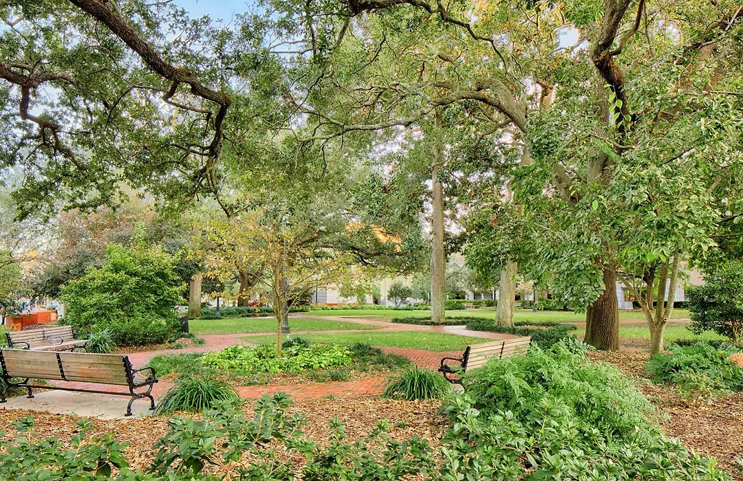 Savannah Serenade - Suite C-1