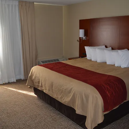 Comfort Inn Savannah Midtown-2