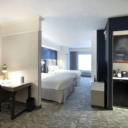 Springhill Suites By Marriott Savannah I-95 South-3