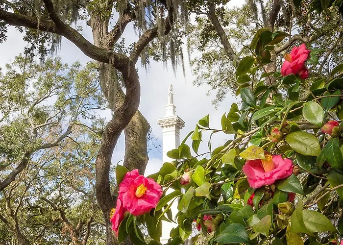 Southern Belle Garden Savannah
