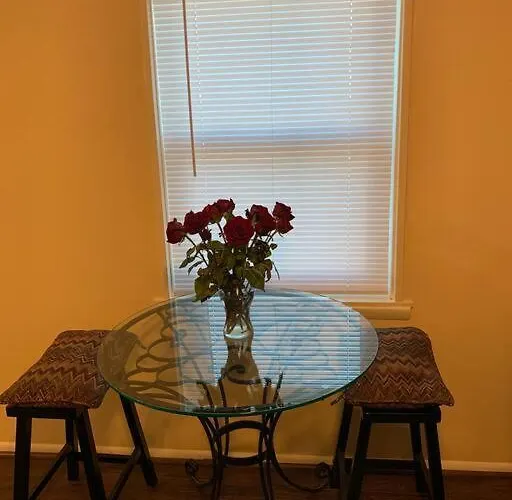 Scott'S Place